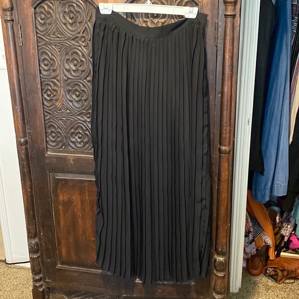 Chiffon like fabric skirt pleated